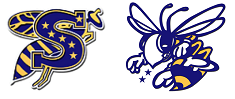 District Logo